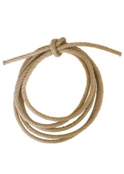 Polyhemp reb – hampelook