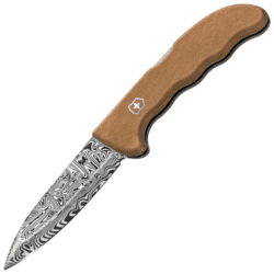 Victorinox Evoke Limited Edition