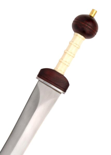 Maintz Pattern Gladius