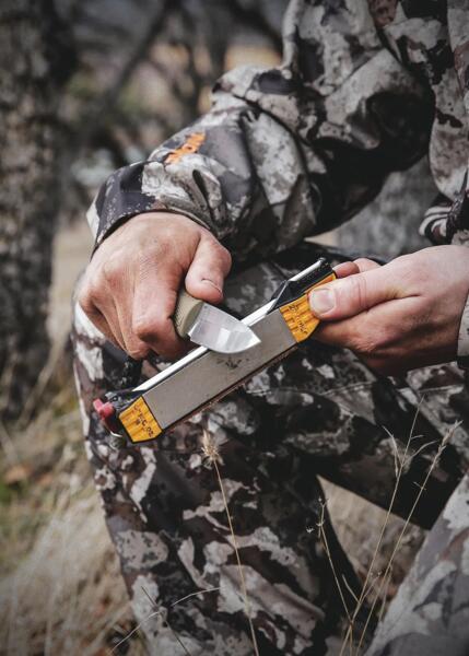 Guided Field Sharpener