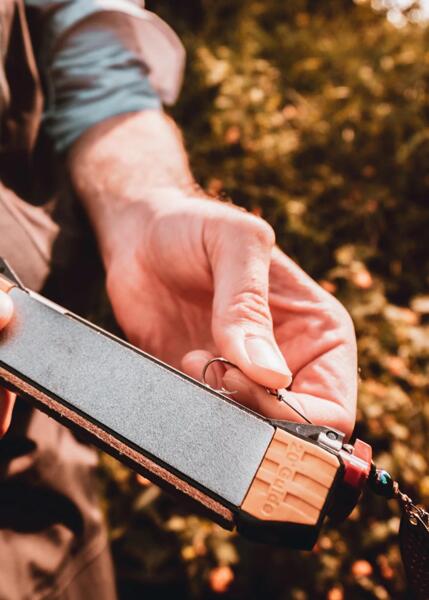Guided Field Sharpener