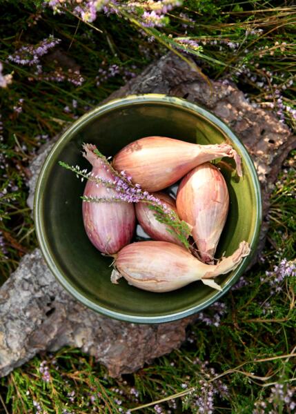 Historisk skål i ler – håndlavet