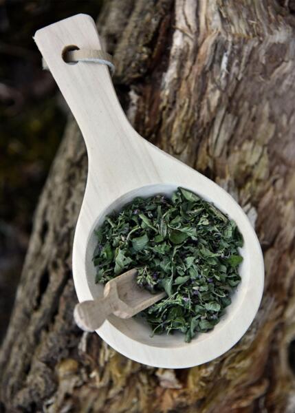 Lille doseringsske i bøgetræ