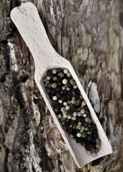 Doseringsske i bøgetræ