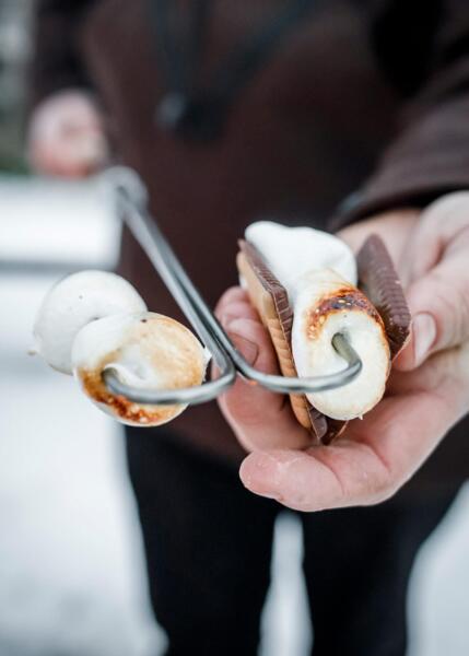 Bålspyd LS2 – teleskopisk grillspyd