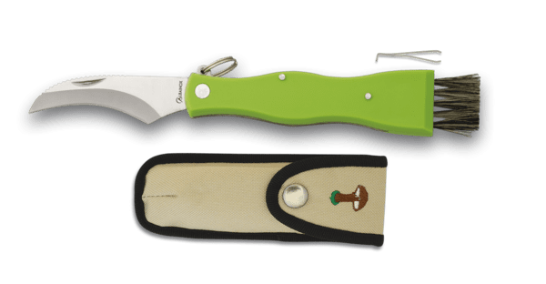 Foldekniv til svampe grøn