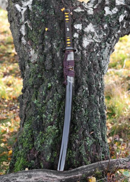 Senshi Erai Hito No Wakizashi