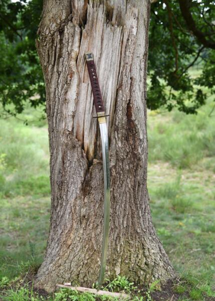 Sengoku Bushō Shinken