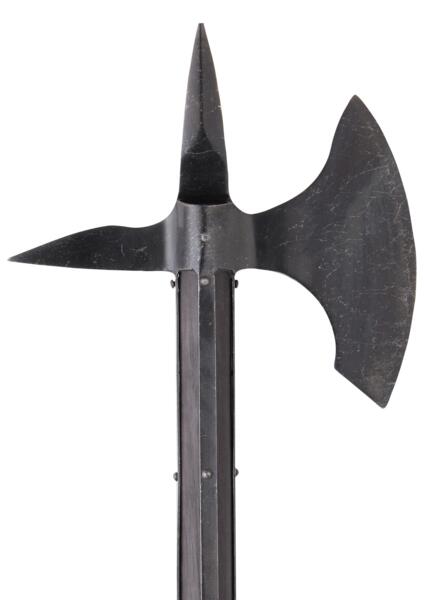 Battlecry Orleans Kampøkse