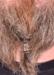Viking Skæg med Thors Hammer