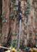 Hanwei Galaxy Katana