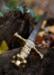 Masonic Sword med skede