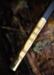 Masonic Sword med skede