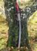 Koshi Sori O Kissaki Katana