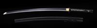 Practical Yūga Katana