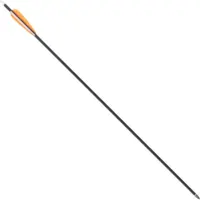 Carbonpil