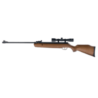 Crosman Vantage